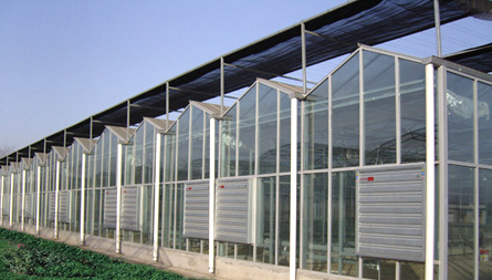 Factory Supply 275g Hot Galvanized Sheet for Poultry Farm Electric Ventilation Fans for Chicken Coop Cooling Poultry Farm