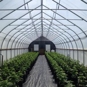 Wholesale USA Market Single Tunnel Automated Greenhouse Blackout Systems For Herb Growing from china suppliers