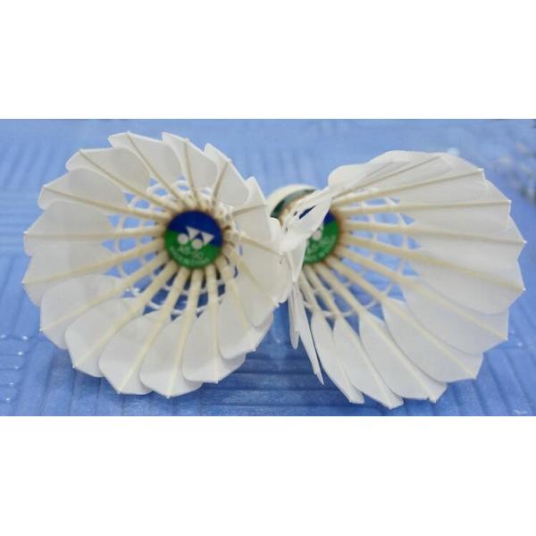 Yonex AS50 badminton shuttlecocks