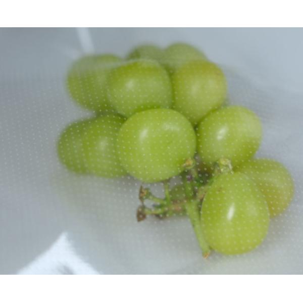 Recycle Plastic Bread Bag For Food Breathable P36 P90 P160 Pattern Protection