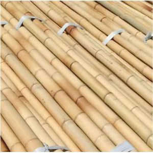 Wholesale Natural Bamboo Color Moso Bamboo Pole for Planting Support with 10cm-600cm Length and 40mm-140mm Diameter from china suppliers
