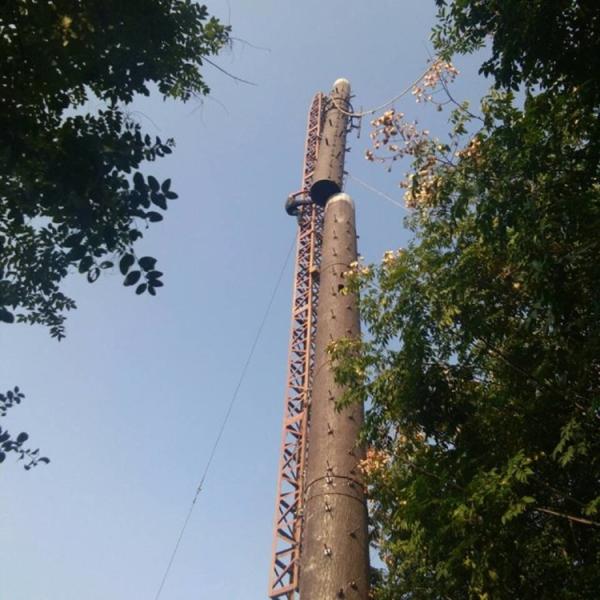 pine tree-shape lightning rod wifi antenna telecom tower