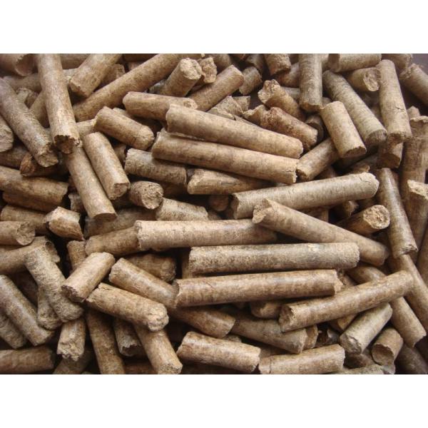 Flat Type High Pellet Density 200kg/hr Biomass Pellet Machine
