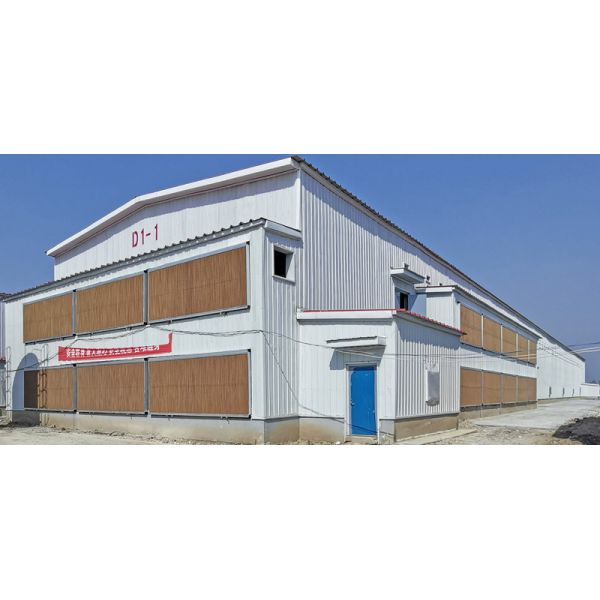 Hot-Dipped Galvanized Steel Fully Automatic Broiler Cage System with 3 or 4 Tiers for Poultry Farming