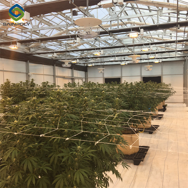 Multi Span Auto Blackout Greenhouse 3 Layers With Steel Structure
