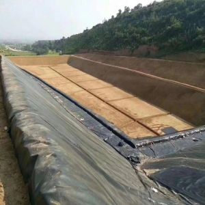 Industrial Design Style HDPE Geomembrane in Black for Waterproof Artificial Lake