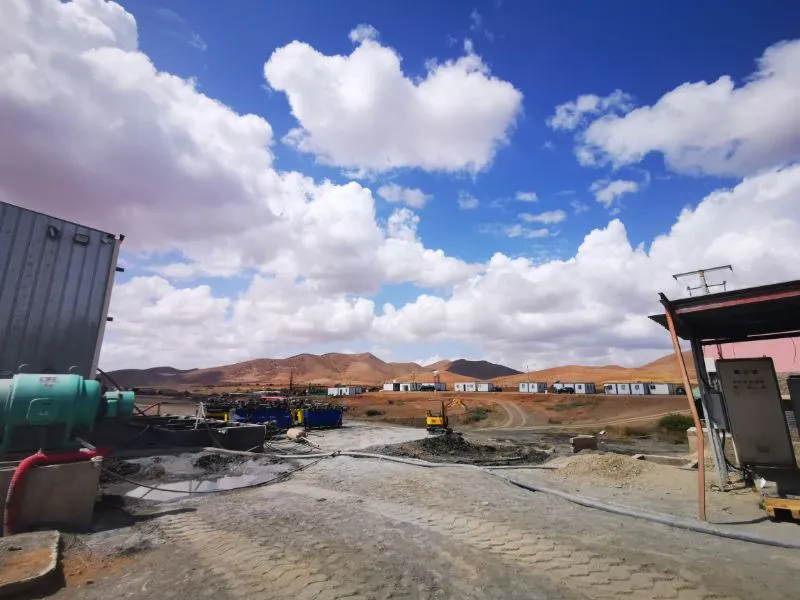 Y&X Depressant D481 Effectively Inhibit Carbon-containing Minerals From Entering Tailings