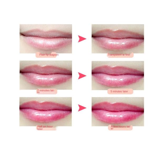 Long Lasting Cute Lip Gloss Waterproof Moisturizing Sweet Liquid Container Lipstick