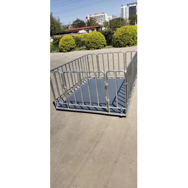 Highly Accurate Portable Livestock Scale for OBM Supported Weighing of Sheep Goats and Cattle