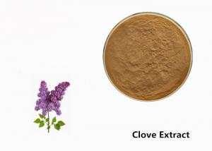 Wholesale Brown Clove Flower Plant Extract Powder For Food Additive from china suppliers
