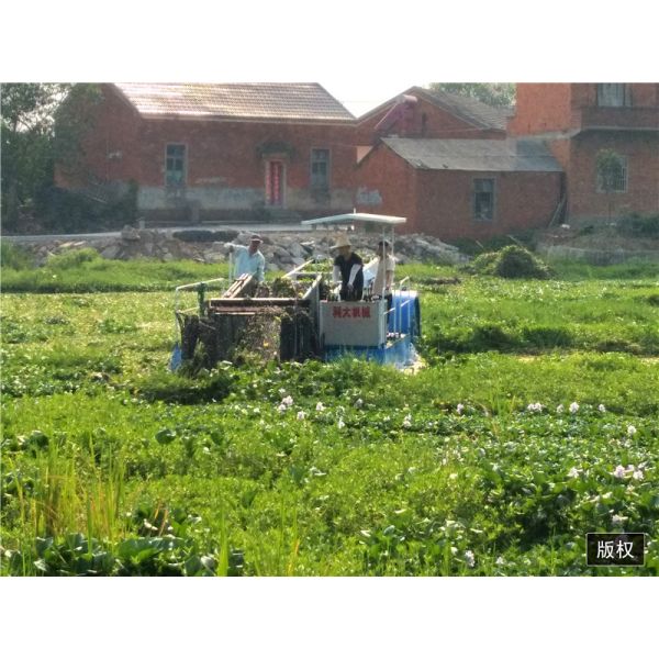 Automated Aquatic Weed Harvester with 1 m Dredging Depth and Hydraulic System for Efficient Water Plant Removal