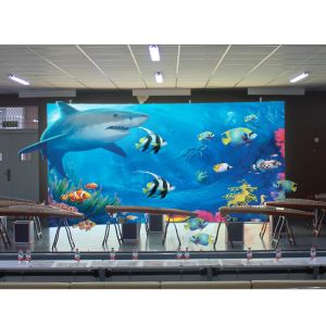 Customized Virtual Three Dimensional Interactive Teaching 3D Display Screen
