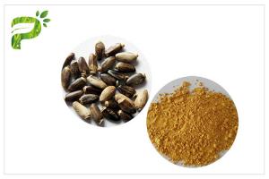 China Light Yellow Plant Extract Powder Natural Ingredient Milk Thistle Extraction on sale