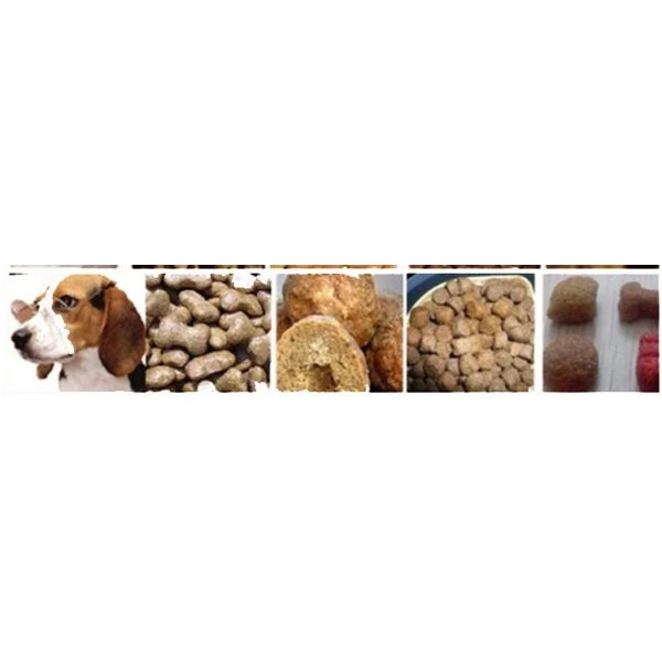 Dog Food Processing Machine PLC Controlled Stainless Steel Twin-Screw Extruder for Dry Pet Food Production Line