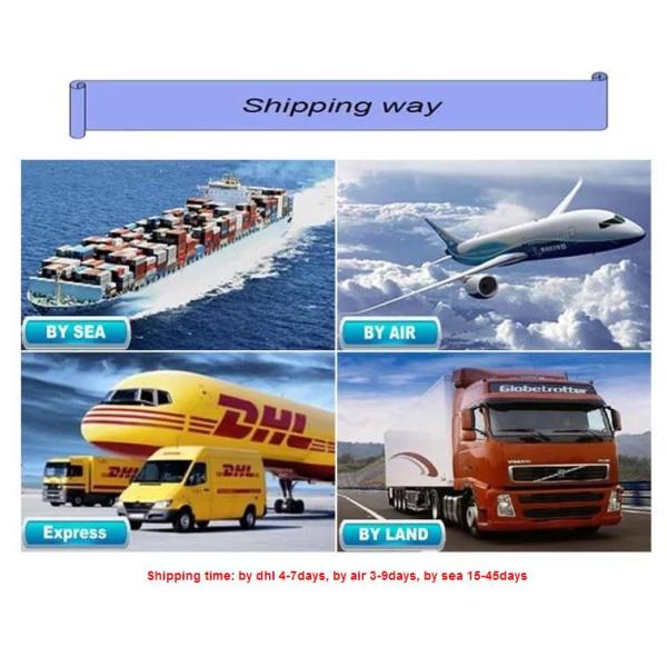 Outdoor & Indoor Forzen Inflatable Bouncer Slide For Advertisement