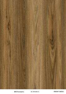 China Eucalyptus Wood Look  Click SPC Flooring Lime Powder PVC Composite GKBM GL-W7200-4 on sale
