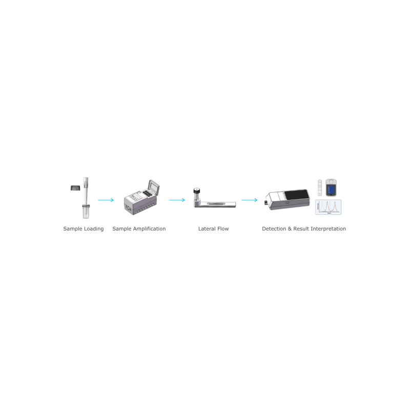 FRMT® Multiplex Molecular Diagnostics