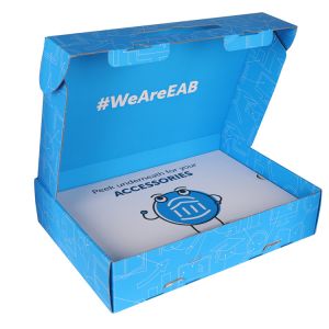 Wholesale Rectangle Cardboard Monthly Subscription Packaging Box With Customized Printing from china suppliers