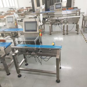 Conveyor Automatic Food Dynamic Checkweigher Machine With Rejector