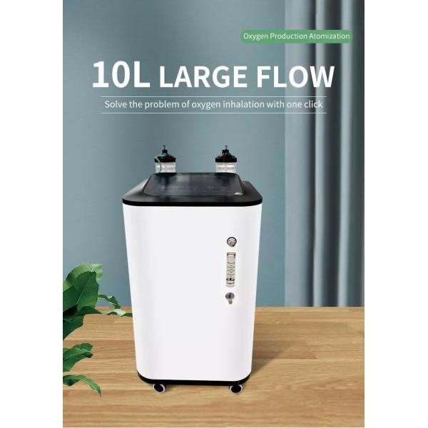 10L 93%+-3% Portable O2 Concentrator Machine For Hospital And Home