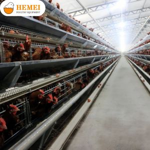Wholesale “A” Type Layer Cage from china suppliers
