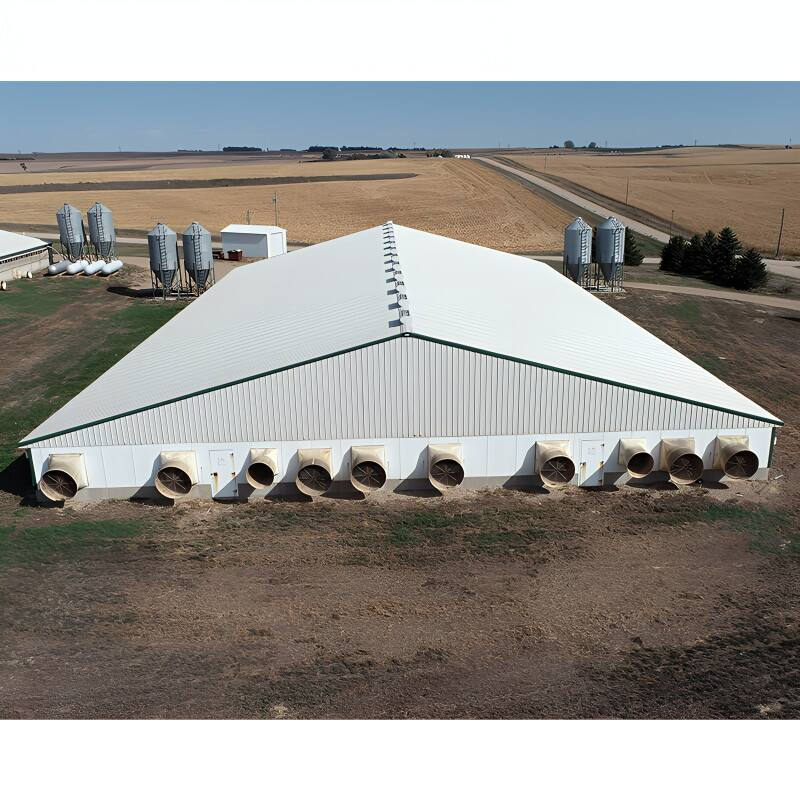 High Quality Fast Assemble Layer Broiler Chicken Steel Farm Building