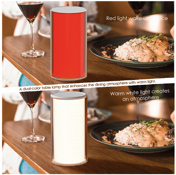 2700K Dual Color LED Table Lamp with Gravity Sensor and Rechargeable Lithium Battery