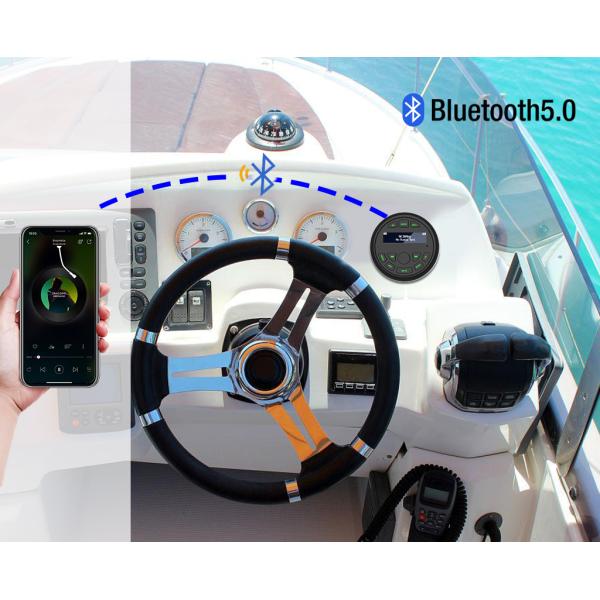 Marine audio system