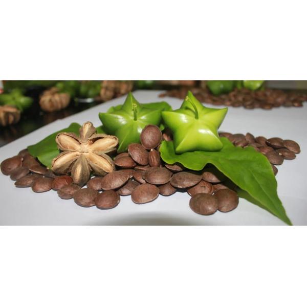 Sacha Inchi Nuts Processing Machine Melon Seeds Seed Peeling Machine