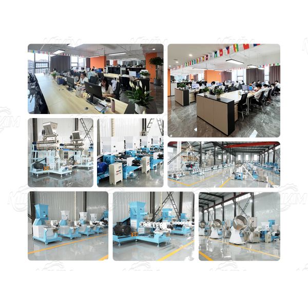 Dog Food Processing Machine PLC Controlled Stainless Steel Twin-Screw Extruder for Dry Pet Food Production Line