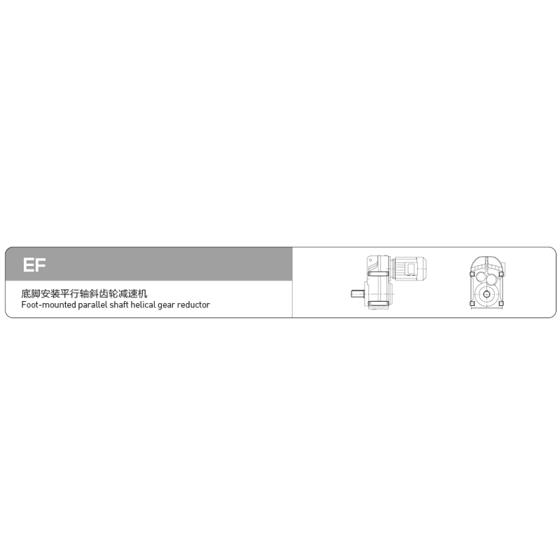 EF series parallel shaft helical gear motor