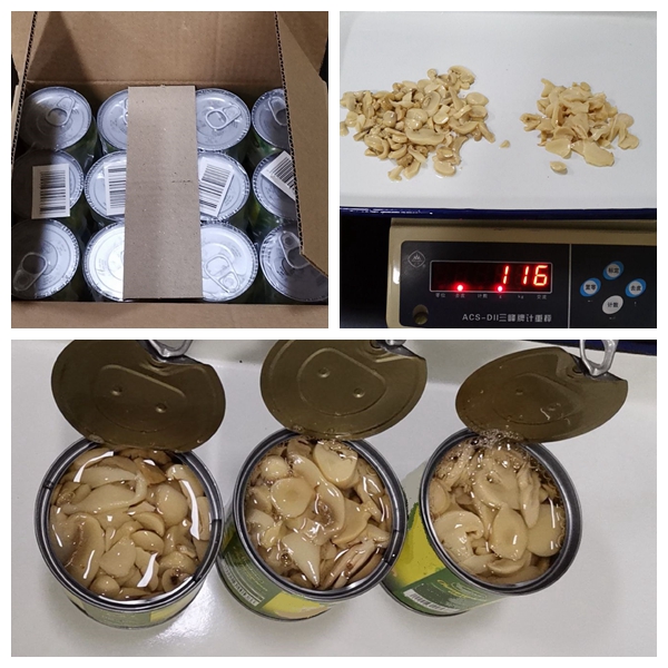 HACCP White Button Natural Fresh Taste Canned Mushroom