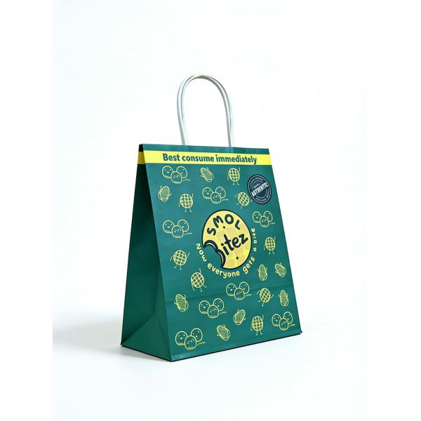 Custom Recyclable Disposable Kraft Paper Twisted Handle Bag Printing for Shopping Bakery