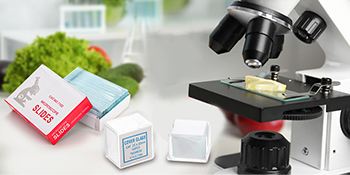 Microscope Slides And Covers, Blank Glass Slides For Microscope Set - 300 Slides, 300 Coverslips, For Microscopy