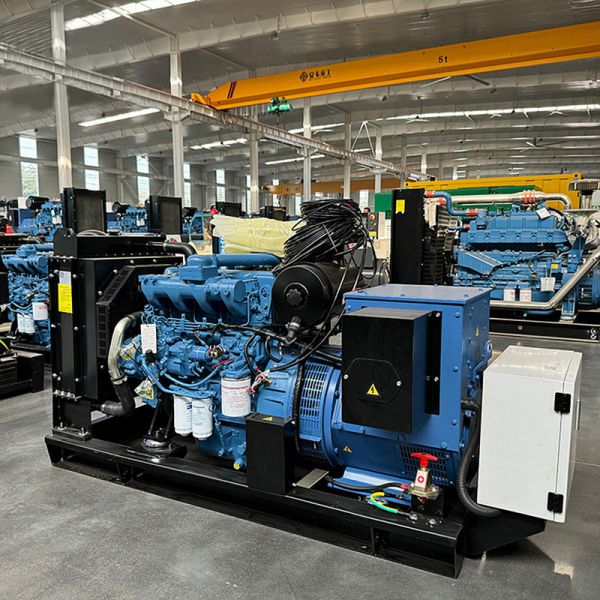 Extended Operation Portable Diesel Powered Generator Open Diesel Generator Set Residential Diesel Generators