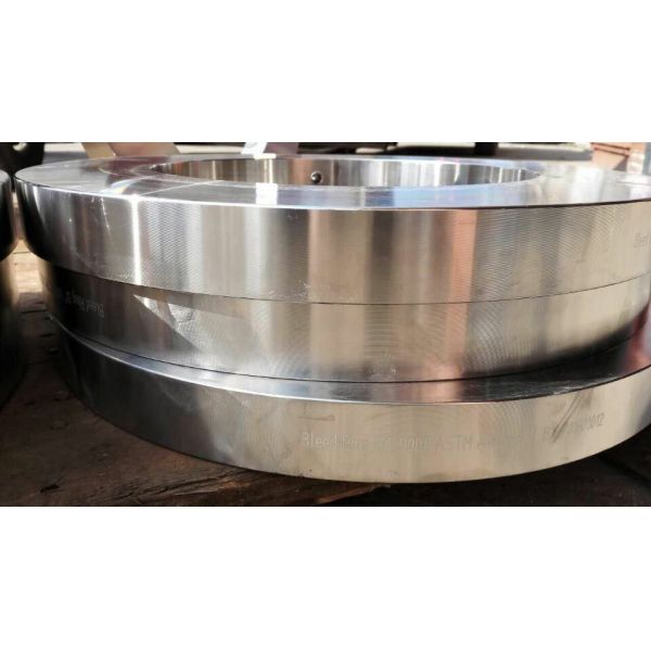 ASTM A182 F316L bleed ring WN SO SW blind flange forging disc ring