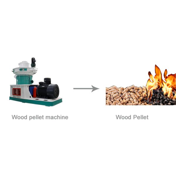 Fuel Eucalyptus Wood Pellets Machine Vertical Ring Die 3t/ H
