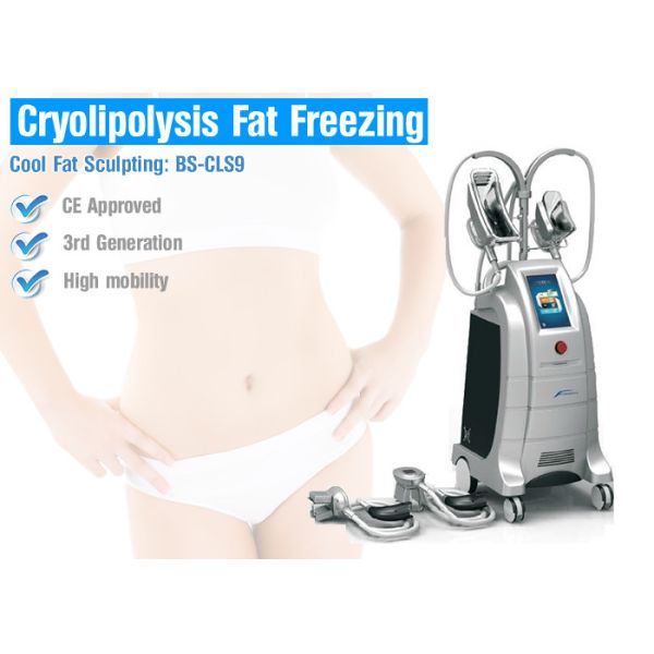 4 Handles Cryolipolysis Weight Loss Equipment Slimming Machine For Fast Fat Reduction