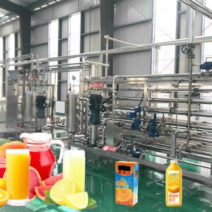 Professional Tangerine Citrus Processing Equipment 5T/H ISO Certificate
