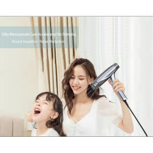 Powerful 1600W AC Motor Electric Hair Dryer Positive & Negative Ion With Diffuser