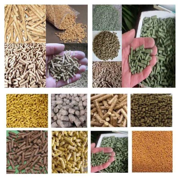 Flat Die 1-2t/H Poultry Animal Feed Pellet Production Line Pelletizer