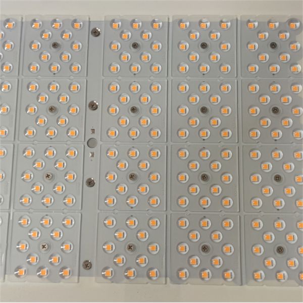 LED Explosion-Proof Floodlight CNEX / IECEx / ATEX Approved Smart Installation Long Lifespan Ideal For Hazardous Work Environments