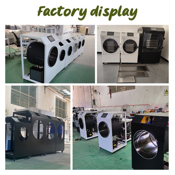 2.5M2 Food Fruit Vegetable Candy Lyophilizer Machine Vacuum Freeze Dryer Dry Machine