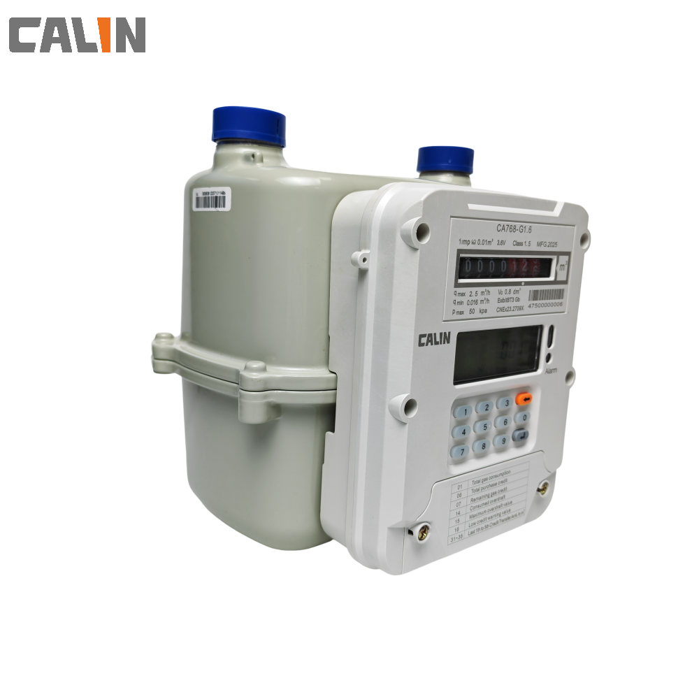 Calin STS Prepaid Gas Meter Smart Gas Meter LoRaWAN Cloud White Steel For