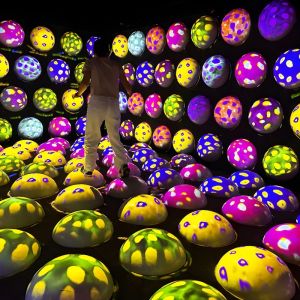 Wholesale Indoor Creativity Magic Interactive Bouncy Ball Projection Game from china suppliers