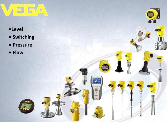 VEGA MT31.DK1BDDLX MINITRAC 31 Radiometric sensor for density measurement