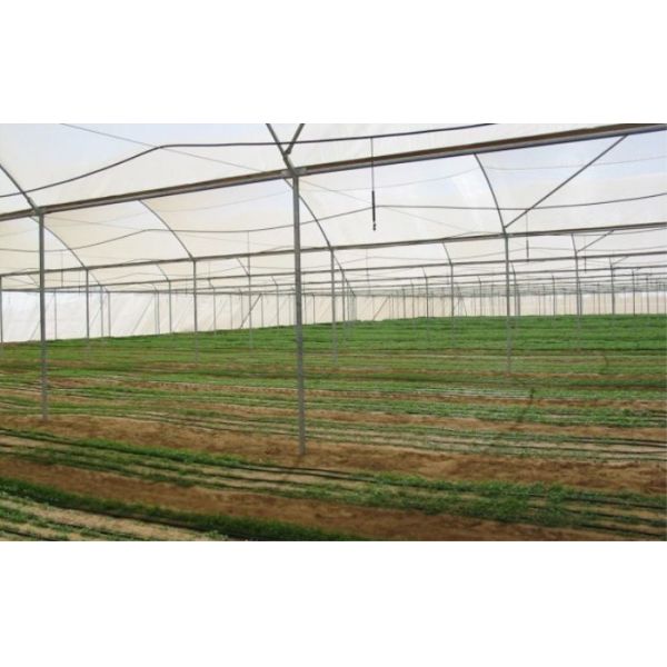 Professional Insect Mesh Netting , Durable Outdoor Mosquito Netting