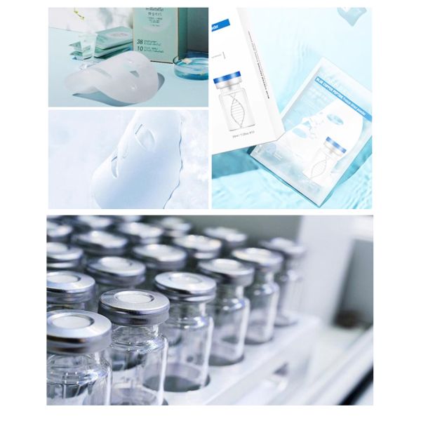Lanphan Freeze Drying Equipment Commercial Freeze Dryer Machine for Okra Strawberry Yogurt
