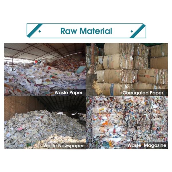 BV TUV Automatic Egg Tray Machine Rotary Type Pulp Molding Machine