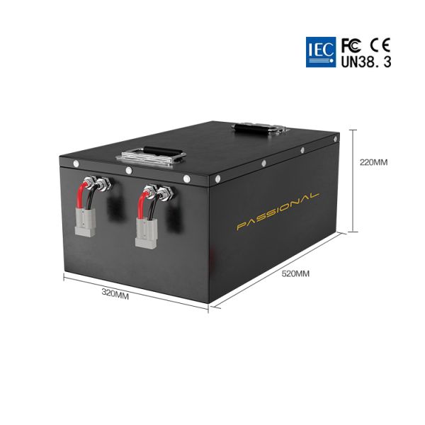 Customize 48V 80Ah power lithium phosphate battery packs for Electrico low speed vehicle LSV E rackshaw LSV Golf cart